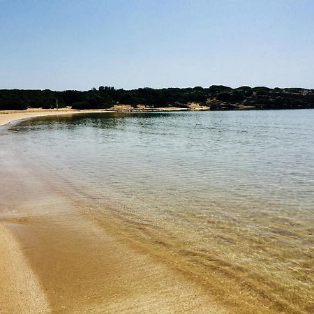 纳乌萨Cycladic House别墅 外观 照片